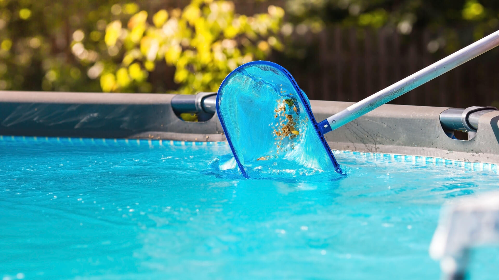 pool cleaning service cost